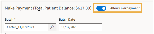 Payment view with yellow highlight box around the Make Overpayment toggle.